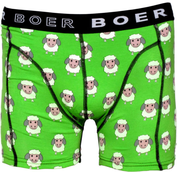 Boer Boer boxer schaap